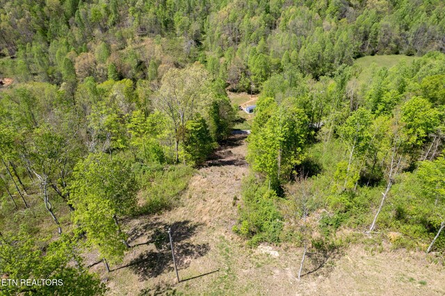 123 Ingle Ln, Tazewell, TN 37879 - photo 29