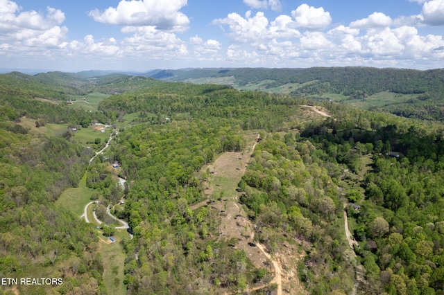 123 Ingle Ln, Tazewell, TN 37879 - photo 34
