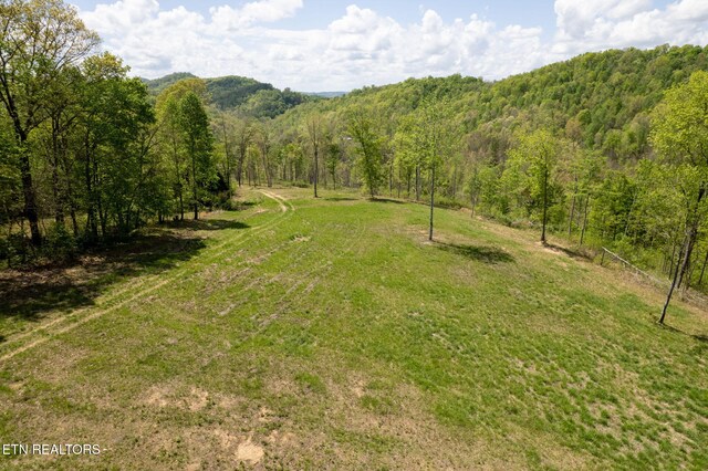 123 Ingle Ln, Tazewell, TN 37879 - photo 38
