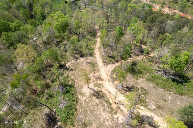 123 Ingle Ln, Tazewell, TN 37879 - photo 40