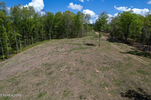 123 Ingle Ln, Tazewell, TN 37879 - photo 42