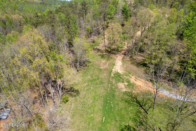123 Ingle Ln, Tazewell, TN 37879 - photo 44