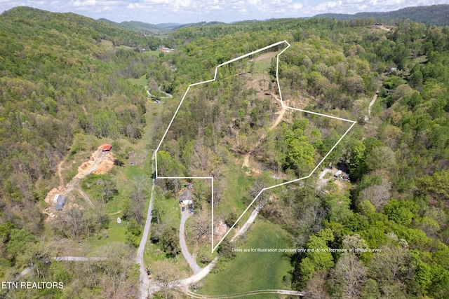 123 Ingle Ln, Tazewell, TN 37879 - photo 2
