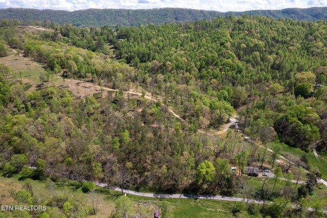 123 Ingle Ln, Tazewell, TN 37879 - photo 45