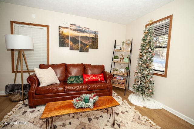 living room with hardwood / wood-style floors