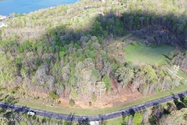 Listing photo 3 for Water View Dr, Rockwood TN 37854