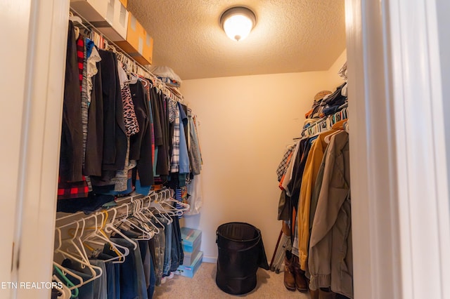 spacious closet with carpet