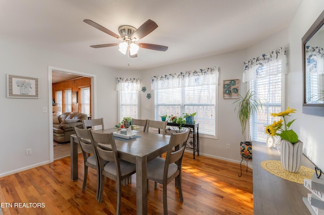 dining area with a wealth of natural light, ceiling fan, and hardwood / wood-style flooring