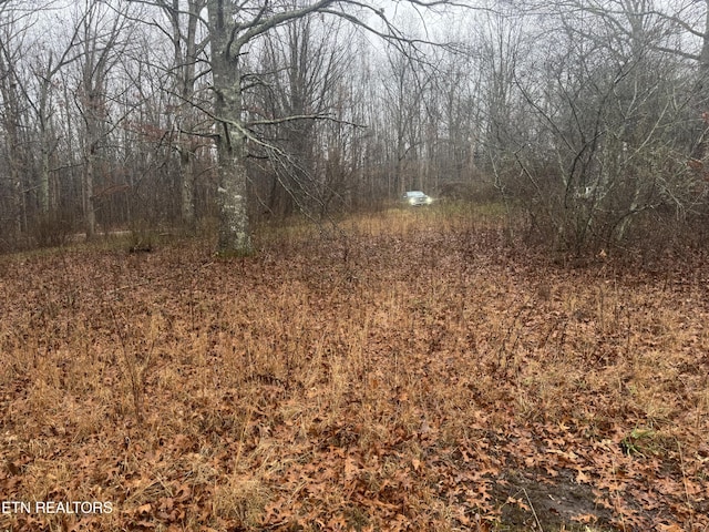93 Fox Den Ln, Crossville, TN 38571