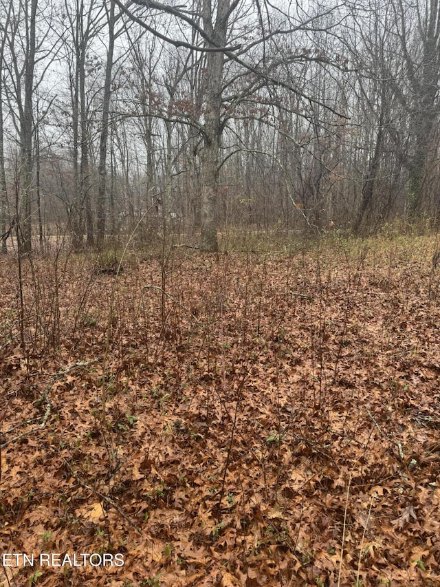 93 Fox Den Ln, Crossville, TN 38571