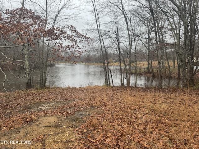 93 Fox Den Ln, Crossville, TN 38571