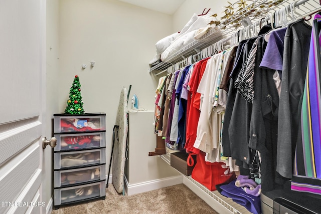 spacious closet featuring carpet flooring