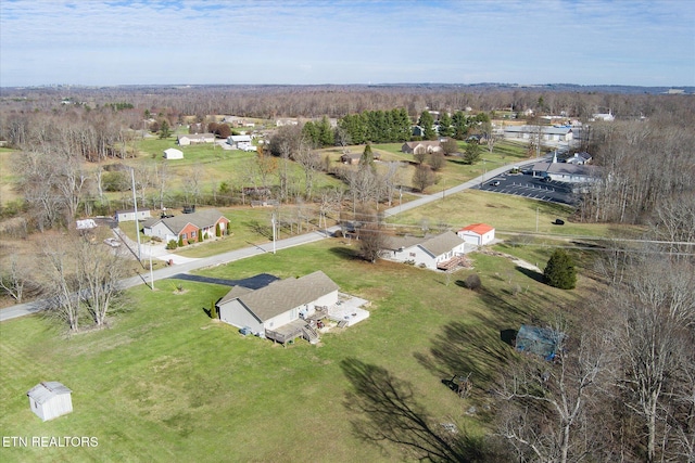 bird's eye view