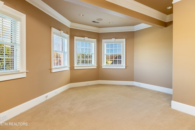 carpeted spare room featuring plenty of natural light and ornamental molding