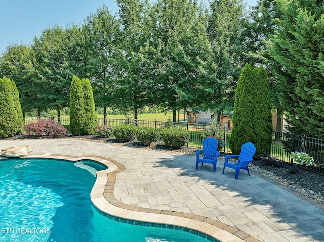 view of swimming pool with a patio area