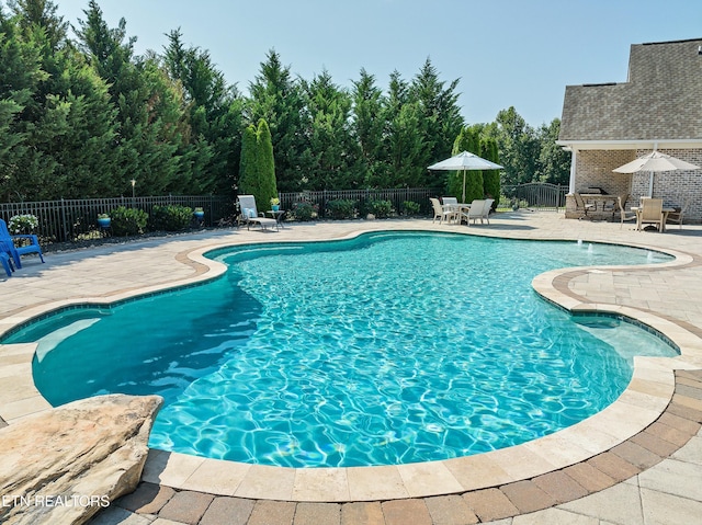 view of pool featuring a patio