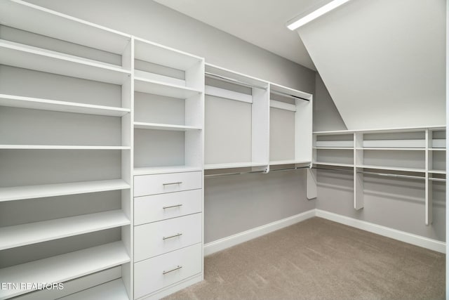 330 Kendall Hunt St, Knoxville, TN 37934 - spacious closet featuring light colored carpet