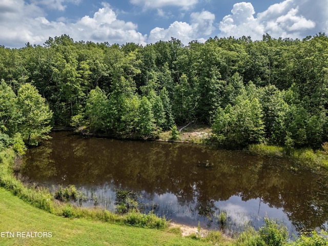 property view of water