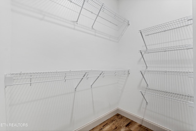 spacious closet with wood-type flooring