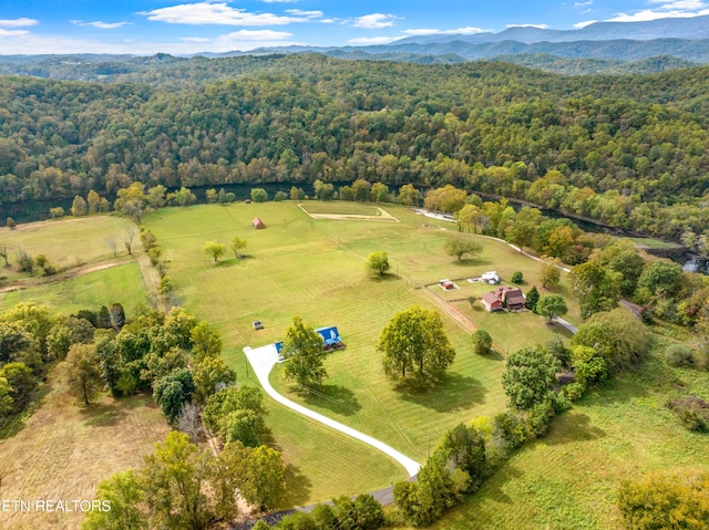 drone / aerial view with a mountain view and a rural view