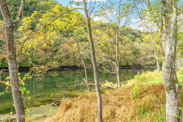 property view of water