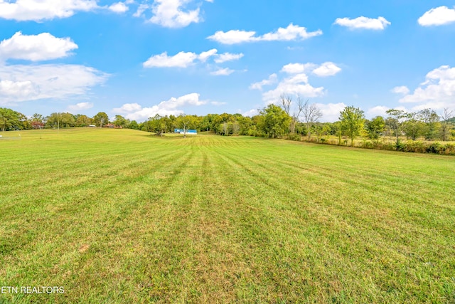 view of yard with a rural view