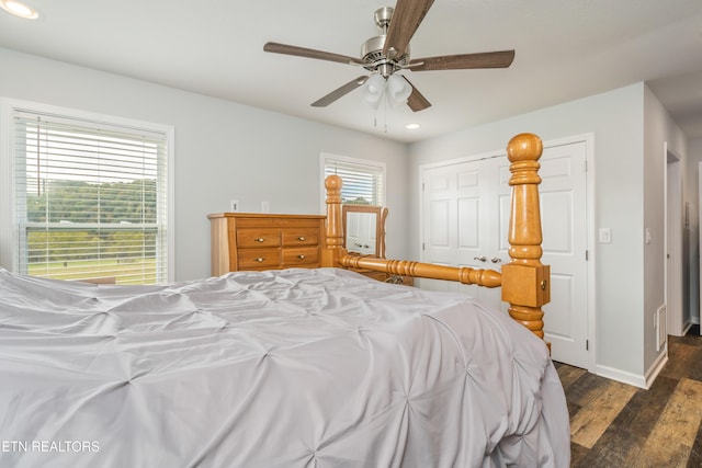 bedroom featuring multiple windows, ceiling fan, a closet, and dark hardwood / wood-style floors