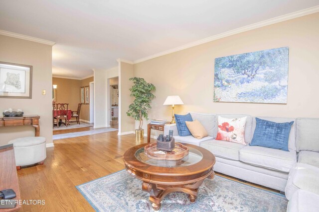 living room featuring light hardwood / wood-style floors and ornamental molding