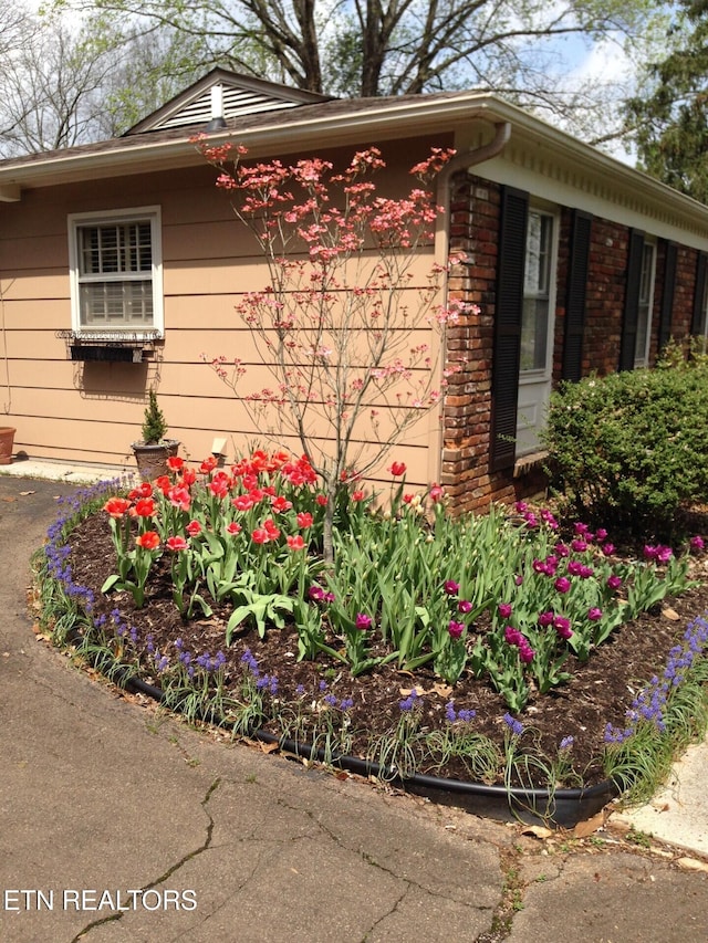 view of home's exterior