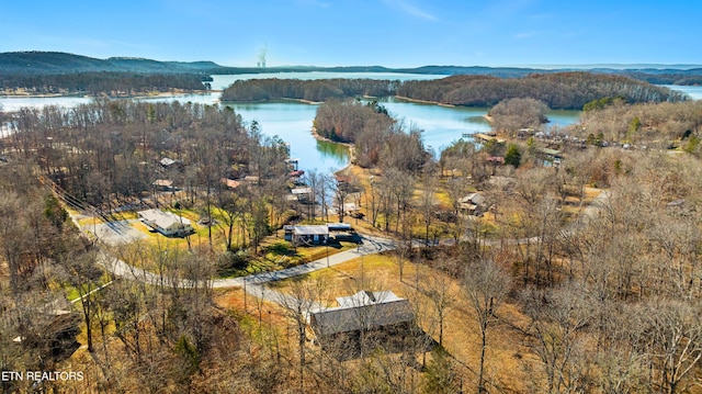 birds eye view of property with a water and mountain view