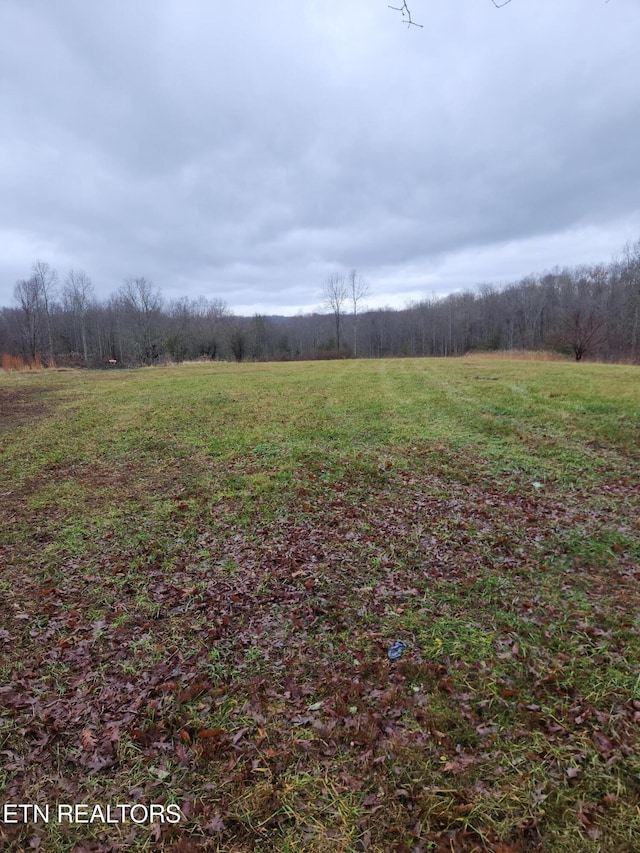 view of yard featuring a rural view