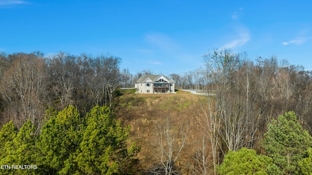 view of back of property