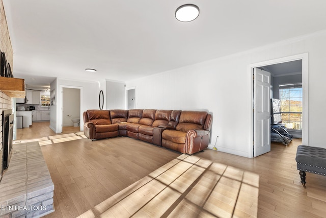 living room featuring light wood-type flooring, a fireplace, and ornamental molding