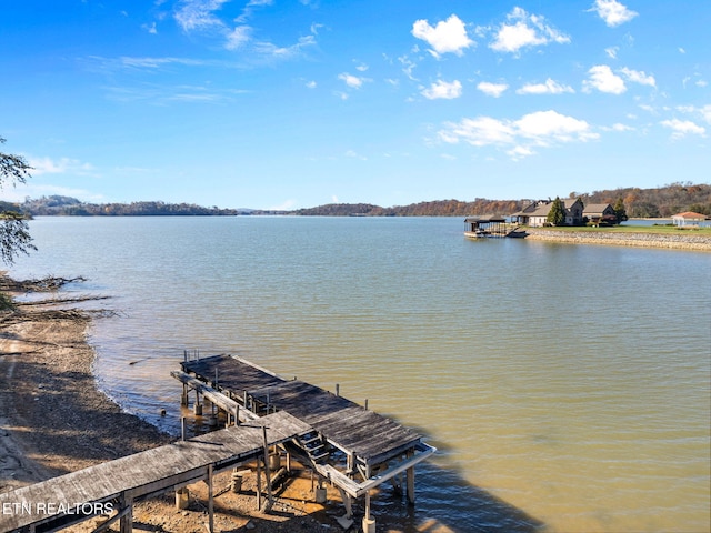 dock area featuring a water view