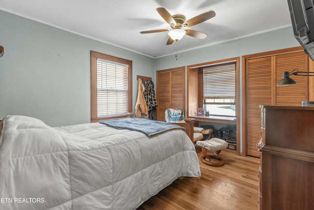 bedroom featuring two closets, crown molding, a ceiling fan, and wood finished floors