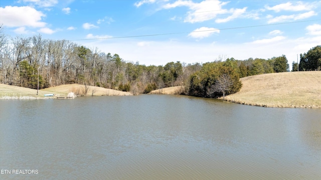 water view with a wooded view