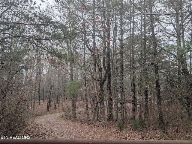 4561 Peavine Rd, Crossville TN, 38571 land for sale