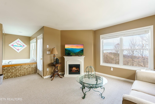 view of carpeted living room