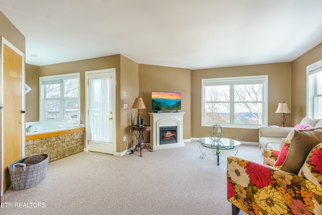 view of carpeted living room