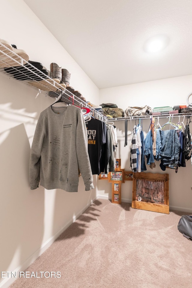 walk in closet with carpet floors