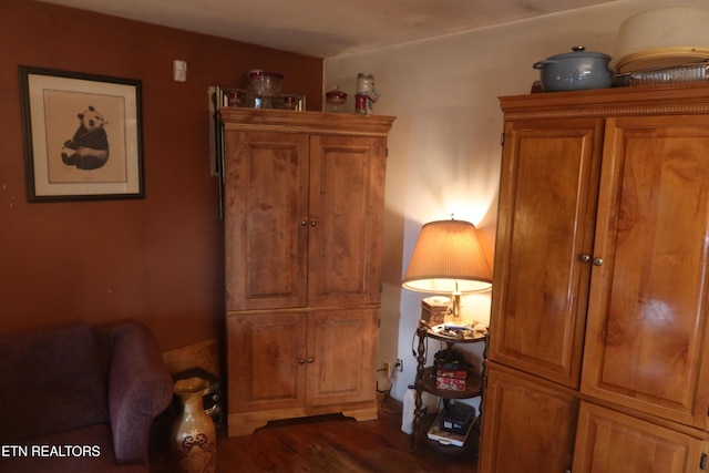 hallway featuring dark wood-type flooring