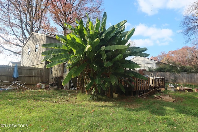 view of yard with a deck