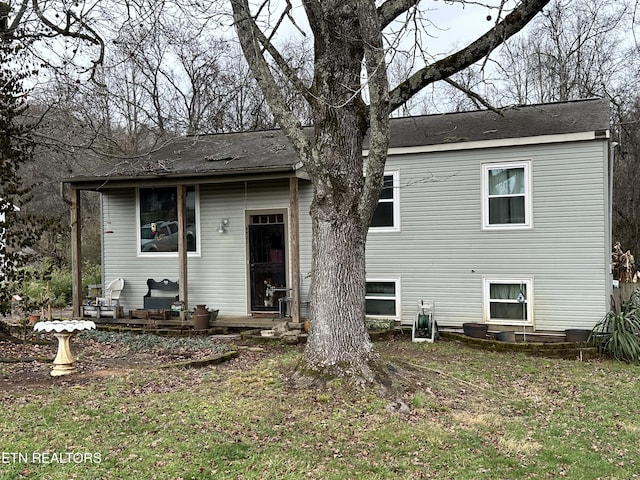 back of house featuring a yard