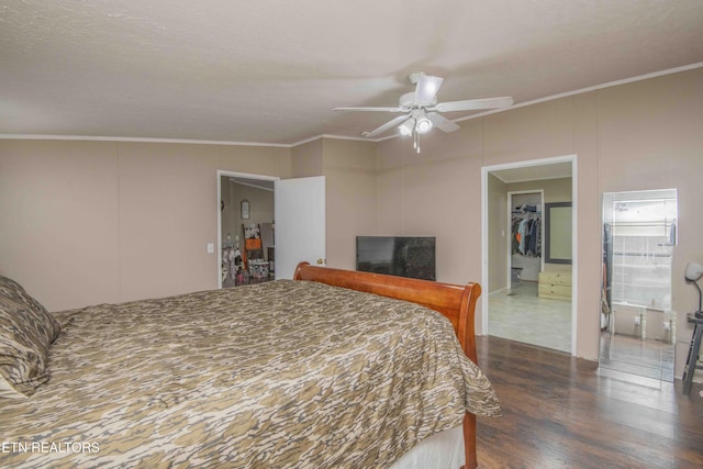 bedroom with connected bathroom, dark hardwood / wood-style floors, ceiling fan, and ornamental molding