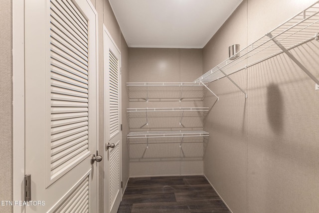 walk in closet featuring dark hardwood / wood-style floors