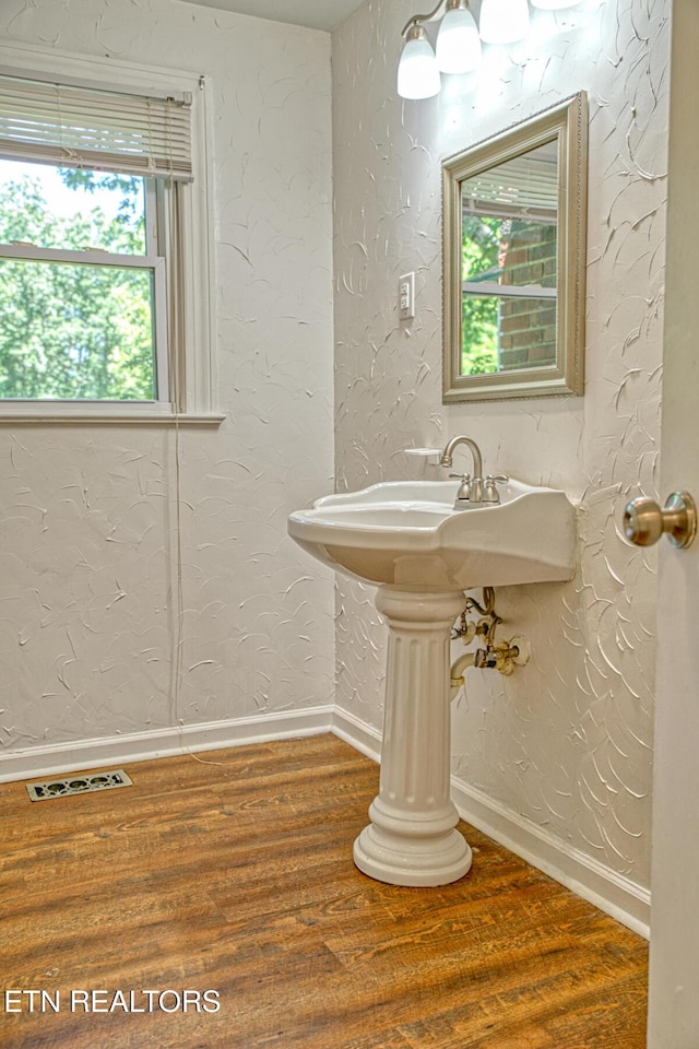 bathroom with wood-type flooring