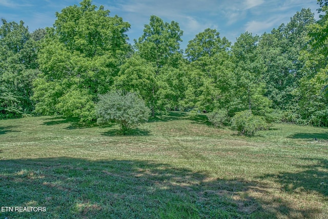 view of local wilderness