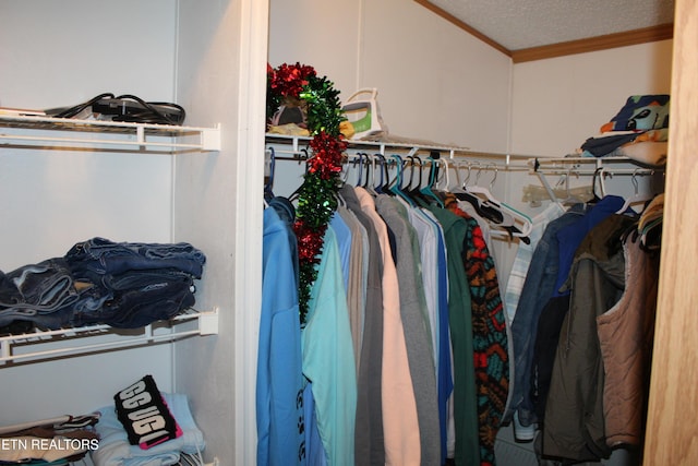 view of walk in closet