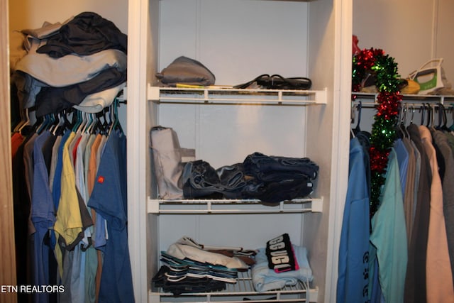 view of closet