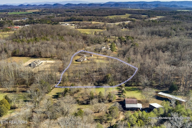 birds eye view of property with a mountain view